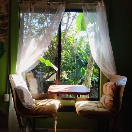 Casa Flor De Annia ~ Cozy 2 Bdrm On The River Sierpe ~ Walkable To Town Villa Kültér fotó