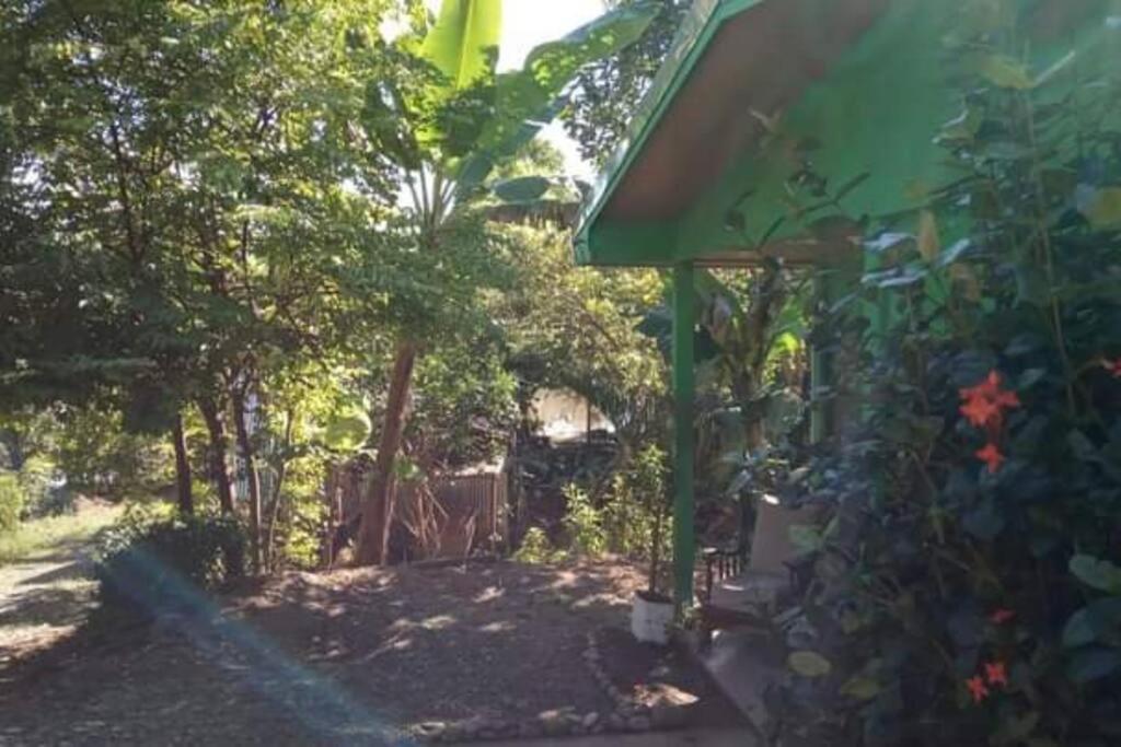 Casa Flor De Annia ~ Cozy 2 Bdrm On The River Sierpe ~ Walkable To Town Villa Kültér fotó