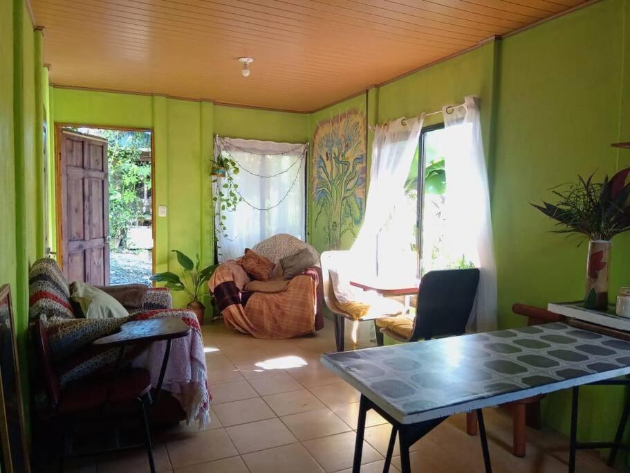 Casa Flor De Annia ~ Cozy 2 Bdrm On The River Sierpe ~ Walkable To Town Villa Kültér fotó