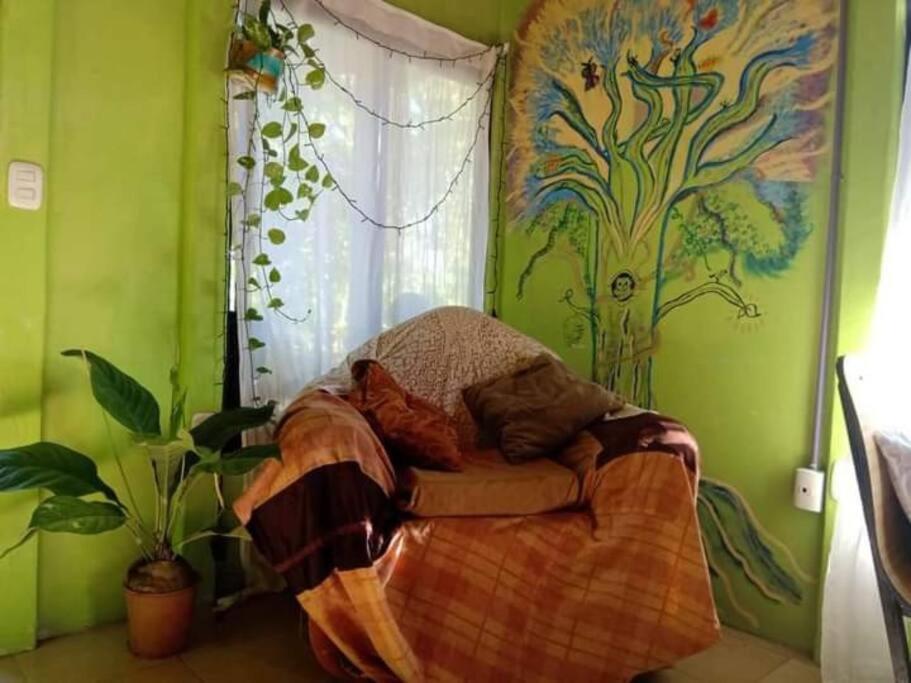 Casa Flor De Annia ~ Cozy 2 Bdrm On The River Sierpe ~ Walkable To Town Villa Kültér fotó
