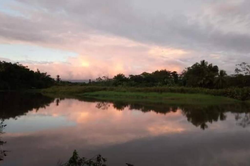 Casa Flor De Annia ~ Cozy 2 Bdrm On The River Sierpe ~ Walkable To Town Villa Kültér fotó