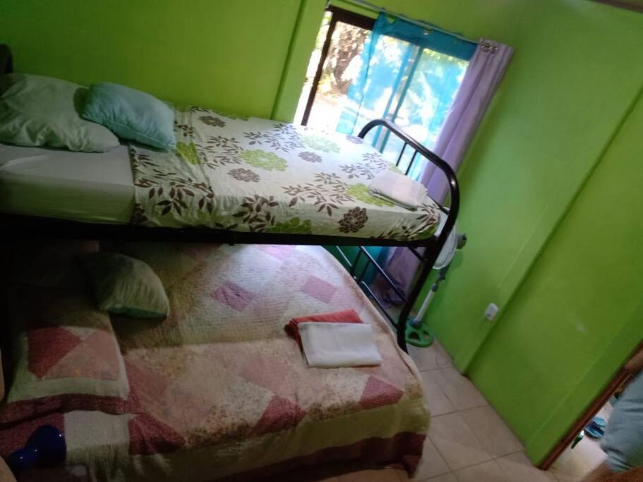 Casa Flor De Annia ~ Cozy 2 Bdrm On The River Sierpe ~ Walkable To Town Villa Kültér fotó
