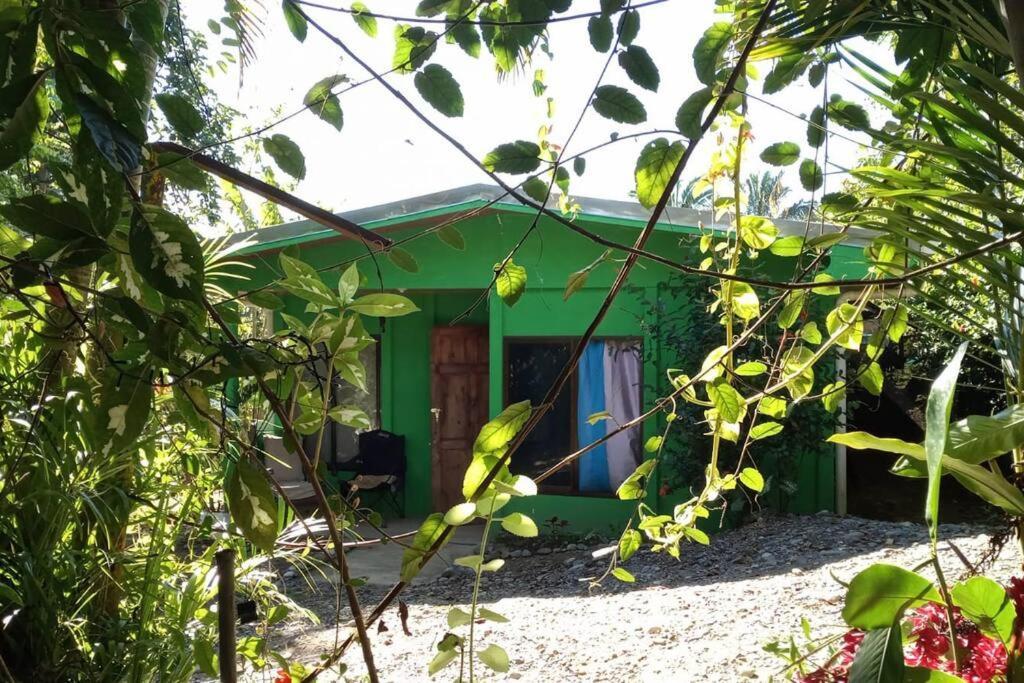 Casa Flor De Annia ~ Cozy 2 Bdrm On The River Sierpe ~ Walkable To Town Villa Kültér fotó