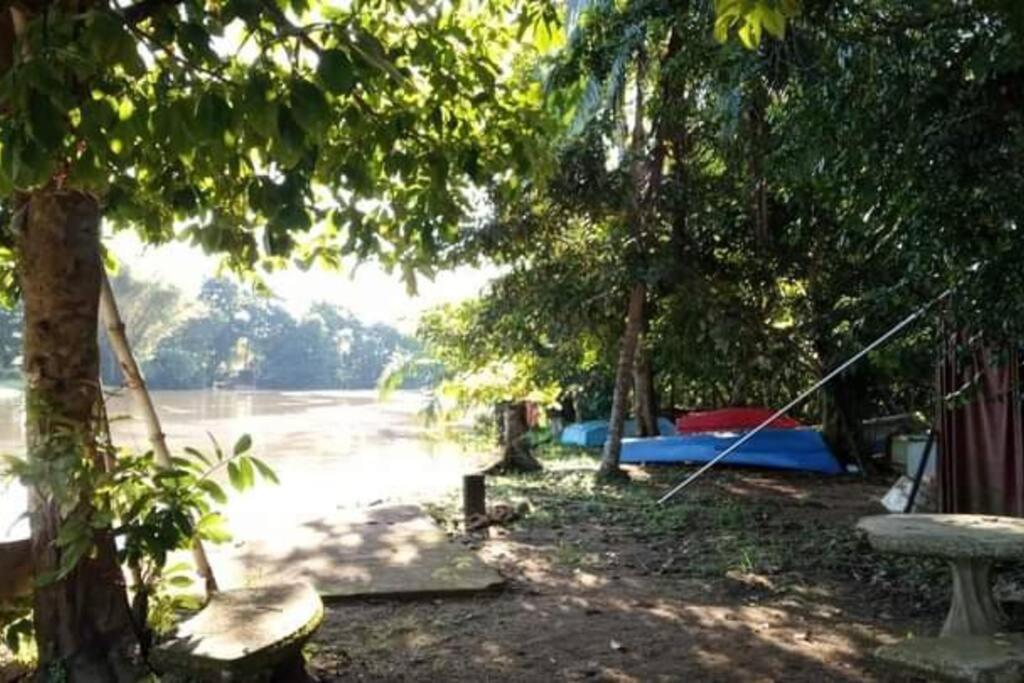 Casa Flor De Annia ~ Cozy 2 Bdrm On The River Sierpe ~ Walkable To Town Villa Kültér fotó
